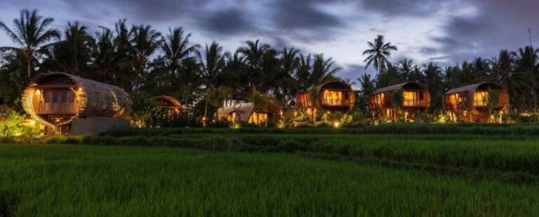 The Unique places to stay in ubud: A Guide to the Best Specialty Lodgings