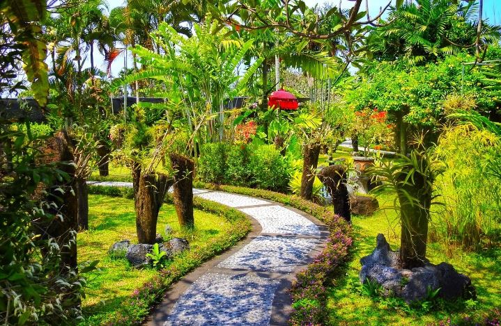 Bali Orchid Garden