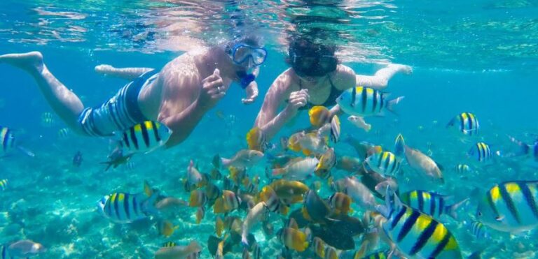 6 Snorkeling in the Gili Islands spots : A Guide to Underwater Exploration