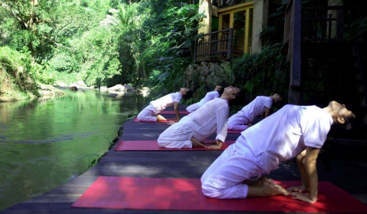 Yoga Retreats
